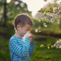 Understanding Common Allergies in Kids